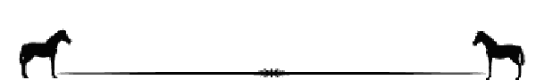 horse-div-600x90.gif